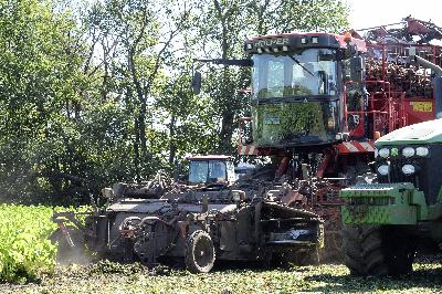 Семинар-совещание по вопросам организованного проведения уборки, заготовки и переработки сахарной свеклы урожая 2015 года.
